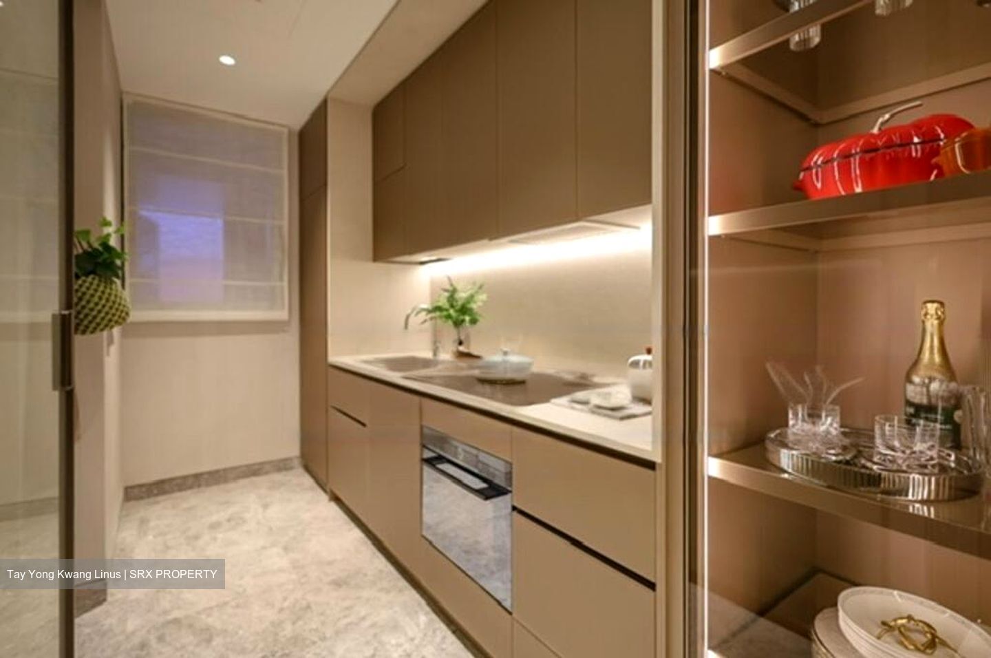 Marina View (D1), Condominium #460917711